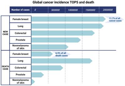 TRPML1 as a potential therapeutic target for triple-negative breast cancer: a review